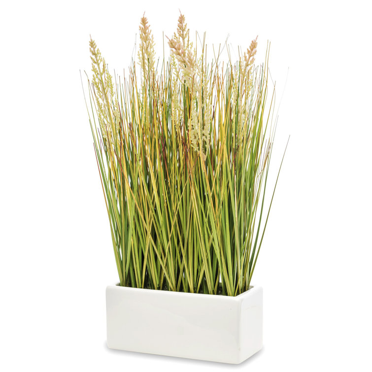 The Seasonal Aisle 46Cm Artificial Pampas Grass in Pot Wayfair.co.uk